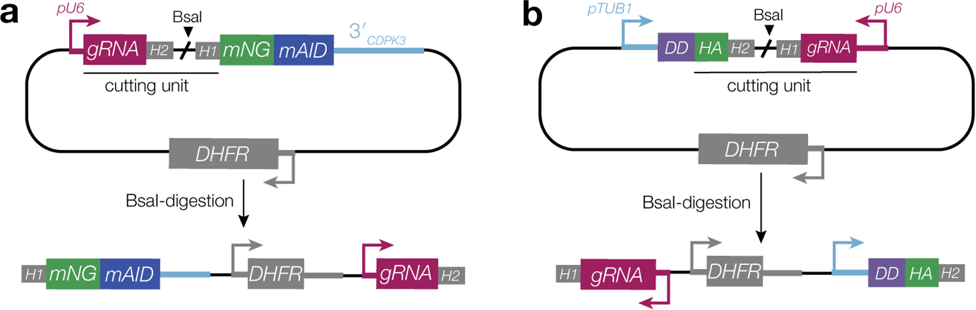 Extended Data Fig. 8.