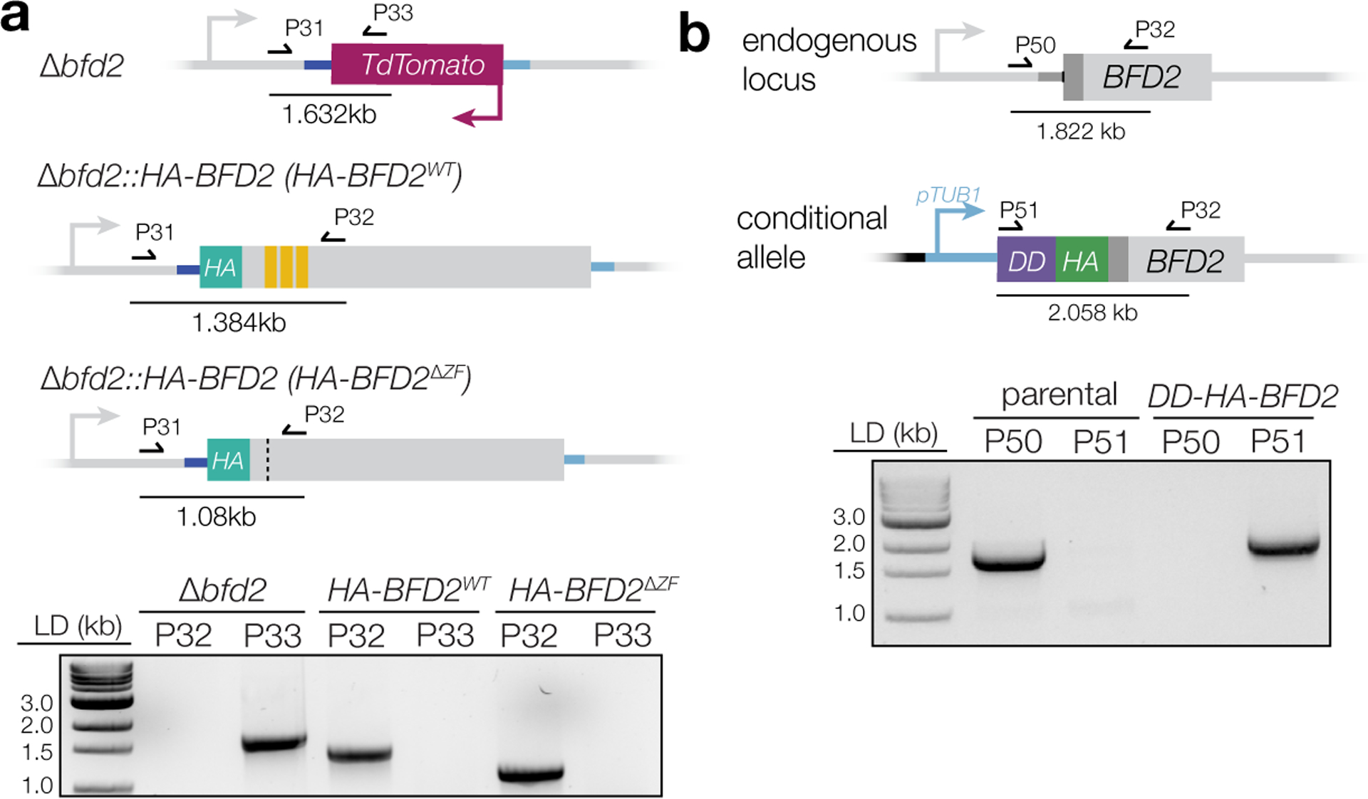 Extended Data Fig. 6.