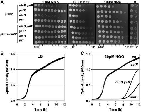 Figure 4.