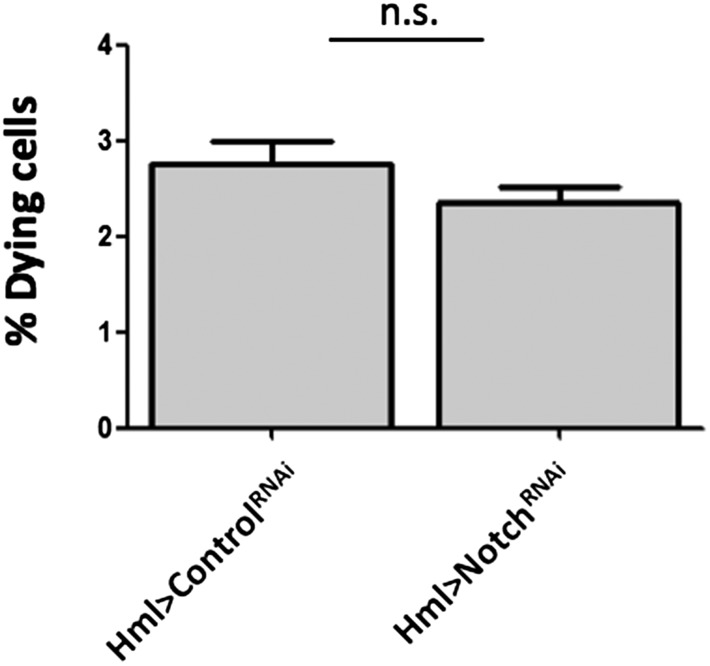 Figure 3—figure supplement 4.