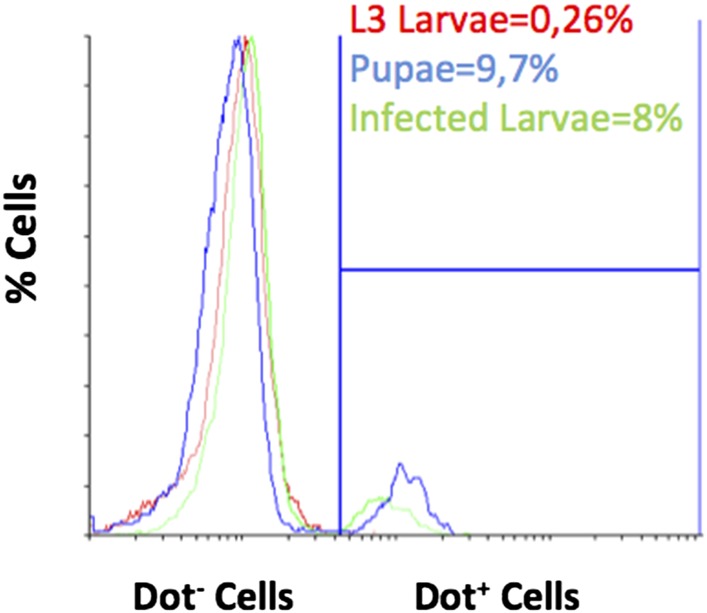 Figure 4—figure supplement 3.