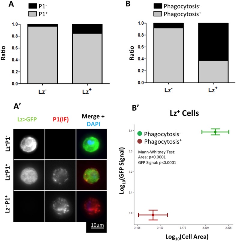 Figure 2.