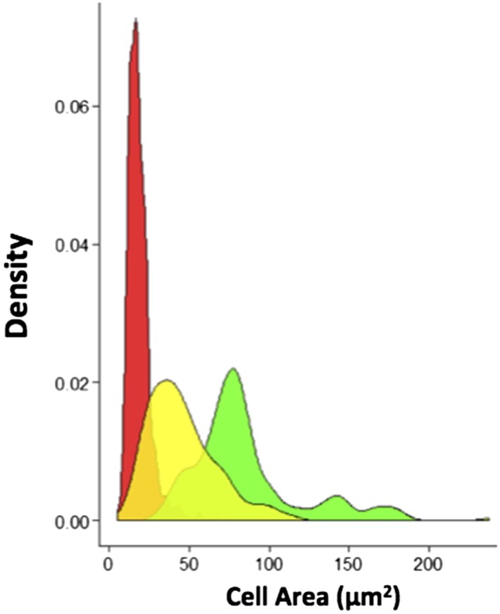 Figure 1—figure supplement 2.