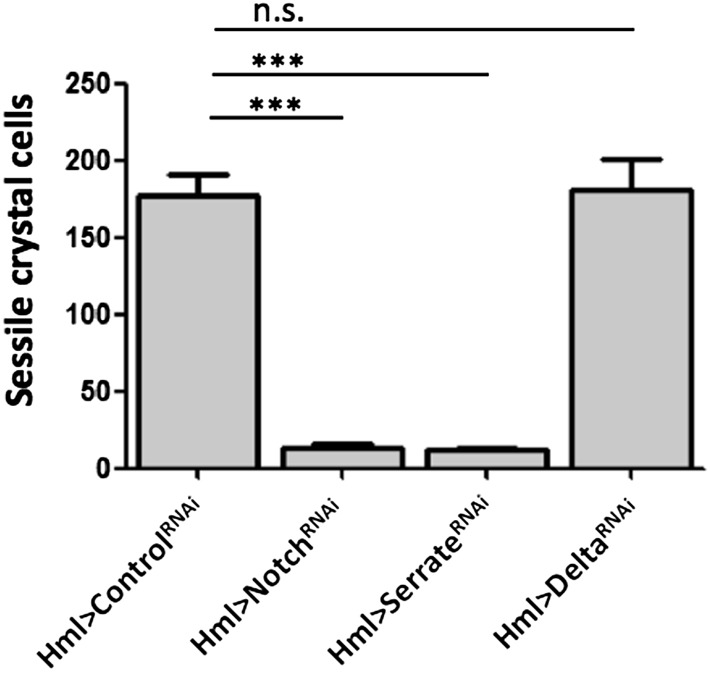 Figure 3—figure supplement 1.