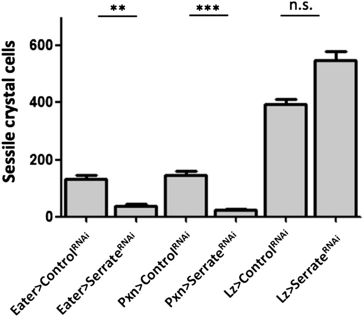 Figure 3—figure supplement 5.