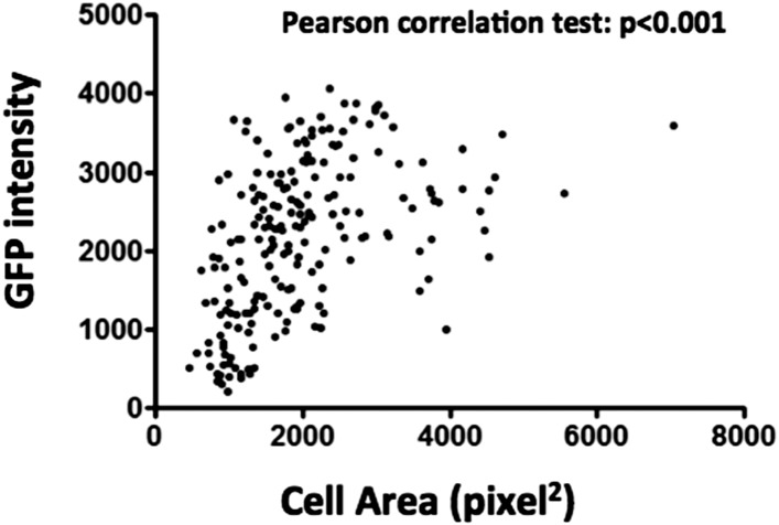 Figure 1—figure supplement 4.