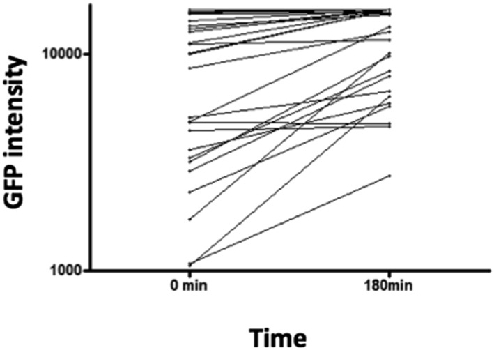 Figure 1—figure supplement 3.