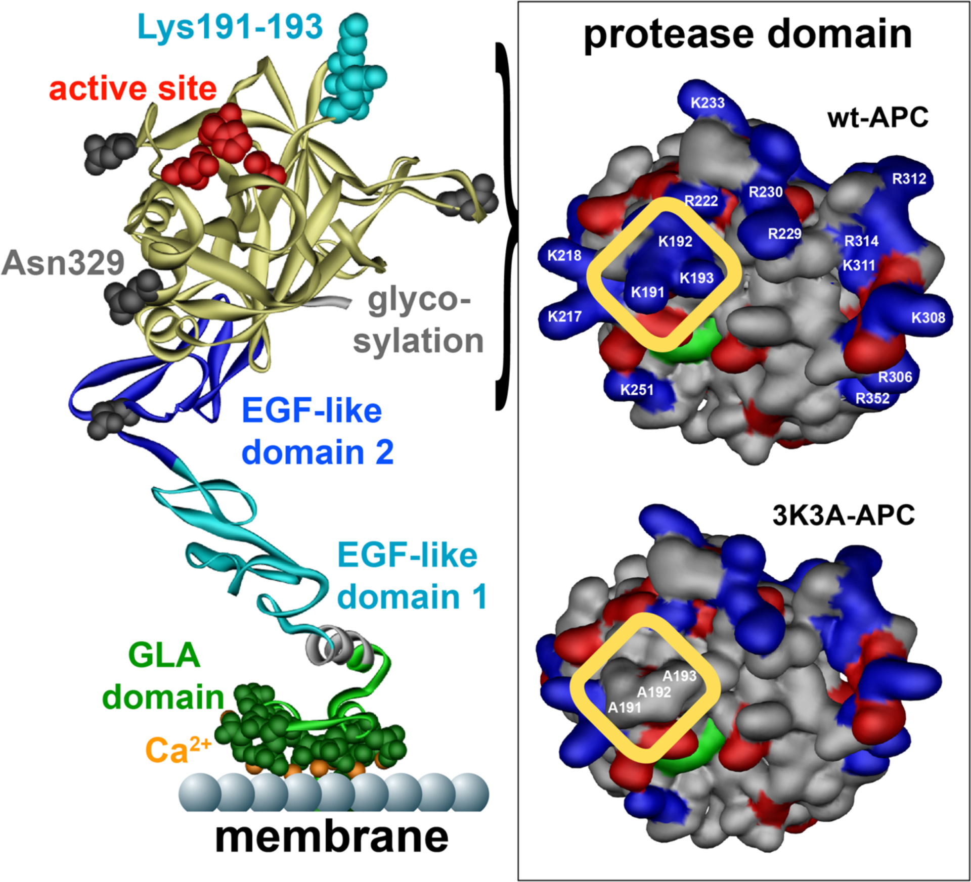 Figure 3: