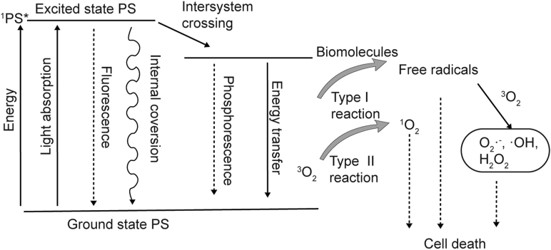 Figure 9