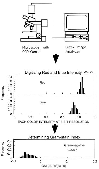 FIG. 1