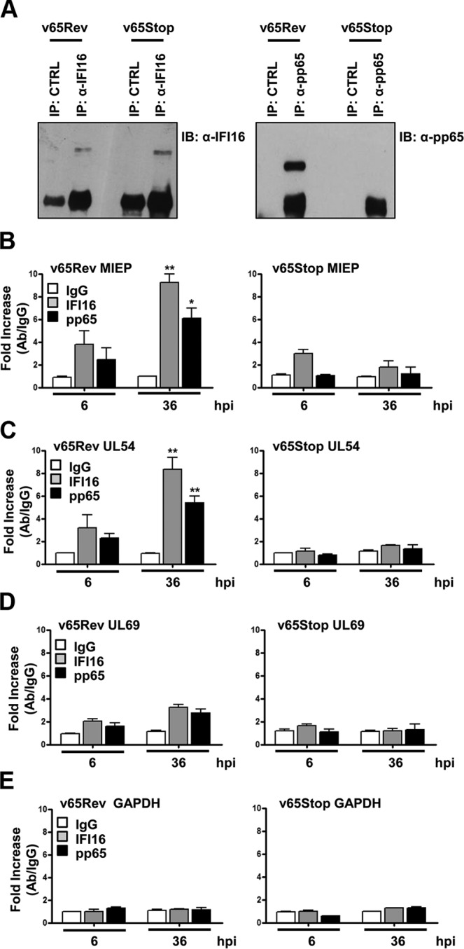 FIG 2