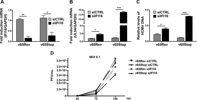 FIG 4