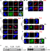 FIG 6