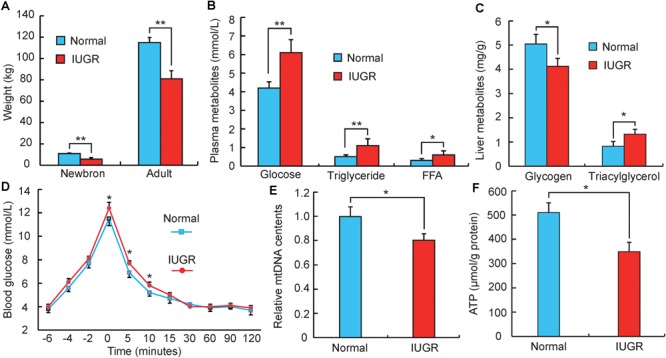 FIGURE 1