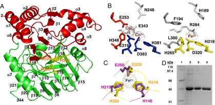 Fig. 3.