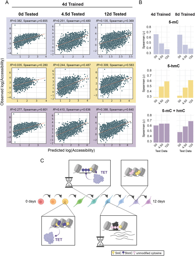 Figure 6: