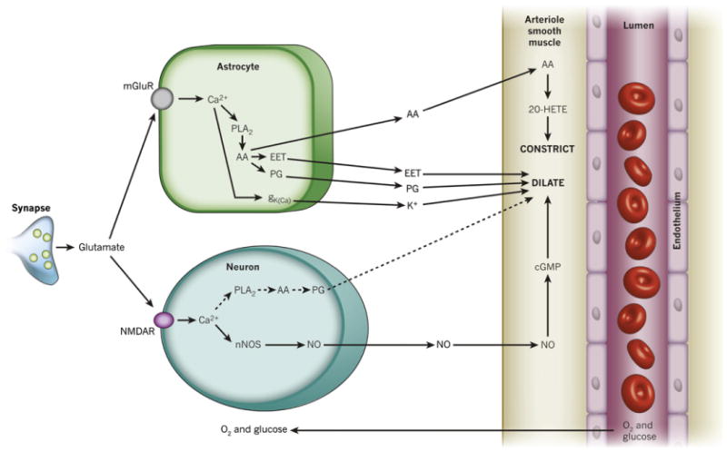 Fig. 12