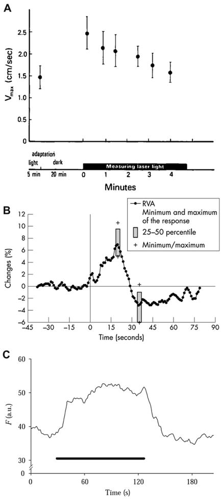 Fig. 8