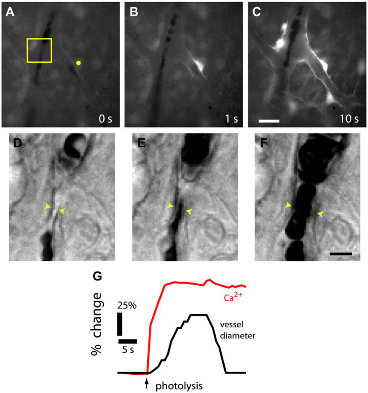 Fig. 13