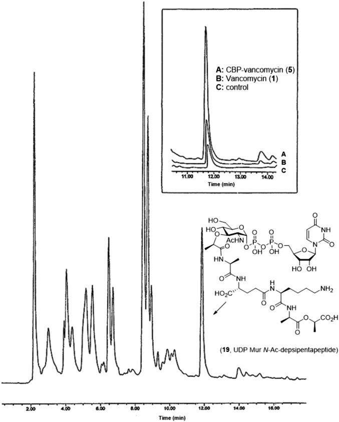 Fig. 5.