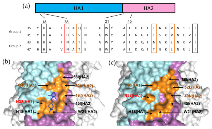 Figure 13