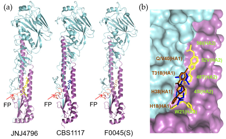 Figure 12