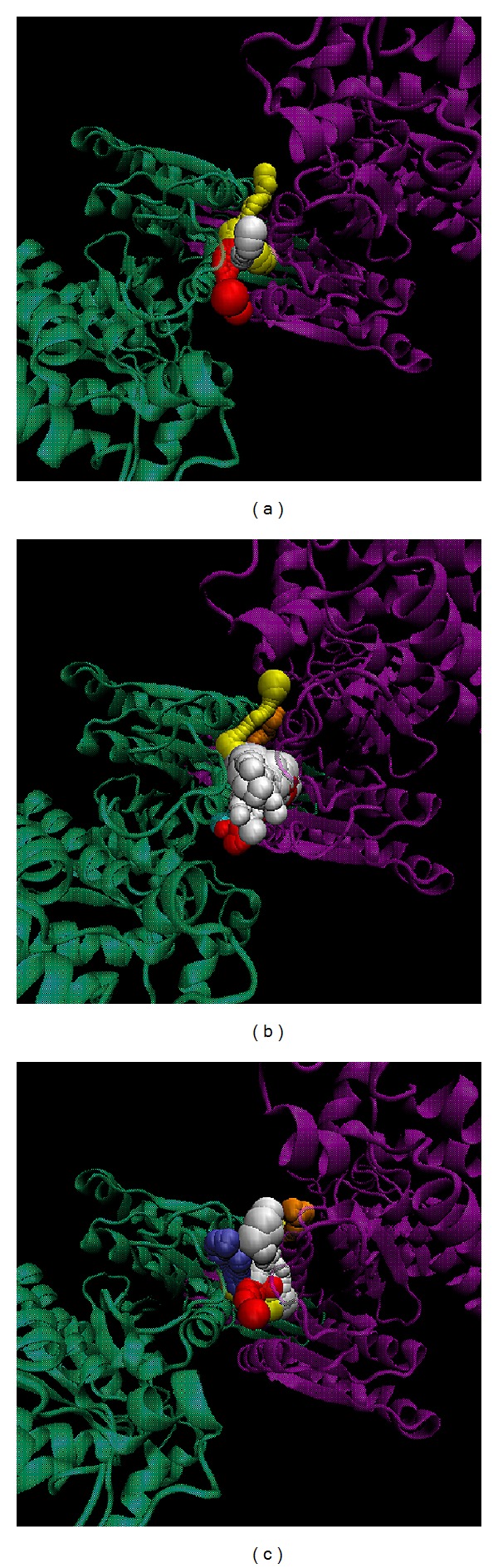 Figure 13