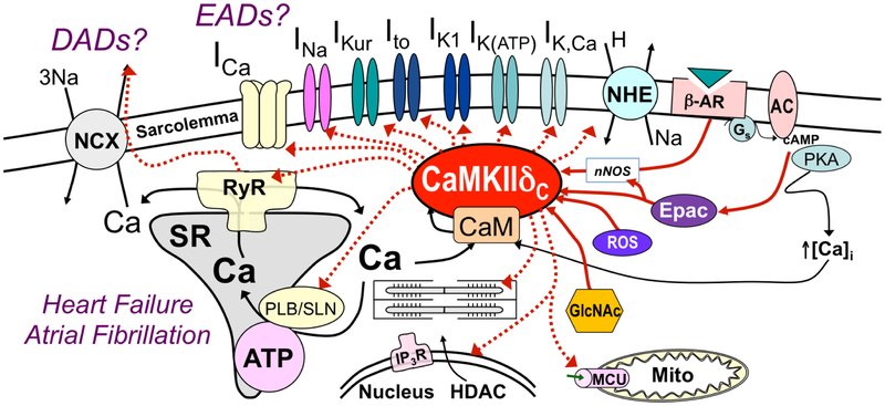 Figure 1: