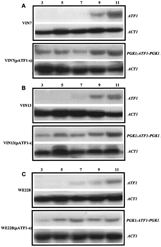 FIG. 3