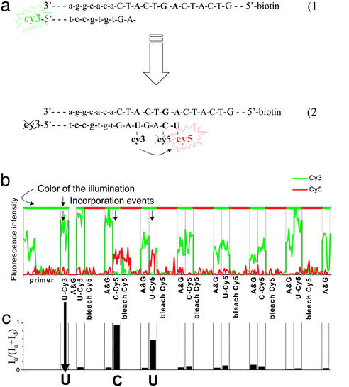 Figure 5