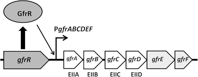 FIG 1