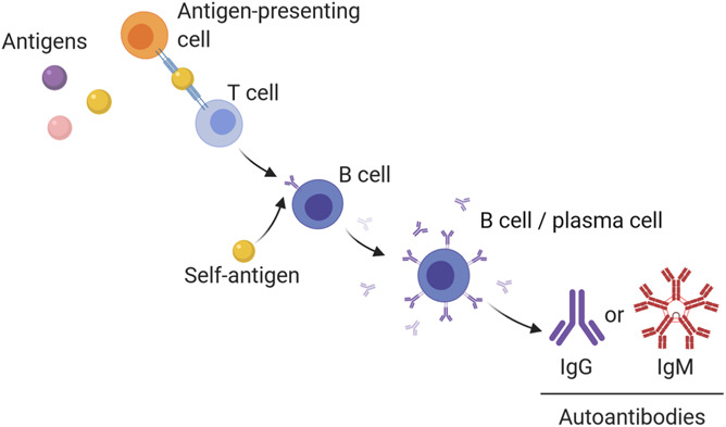 Figure 2.