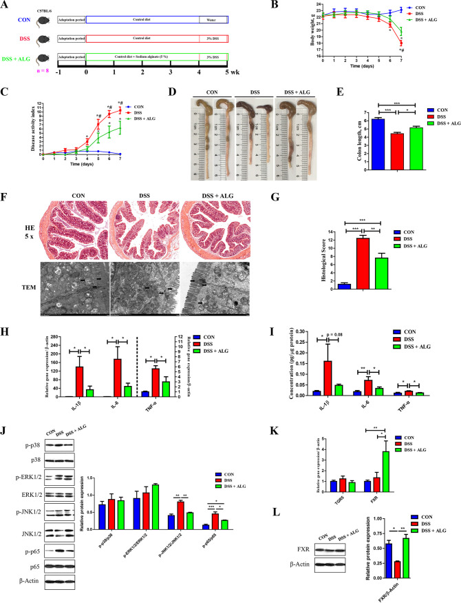 FIG 1