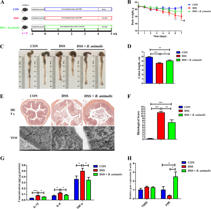 FIG 6