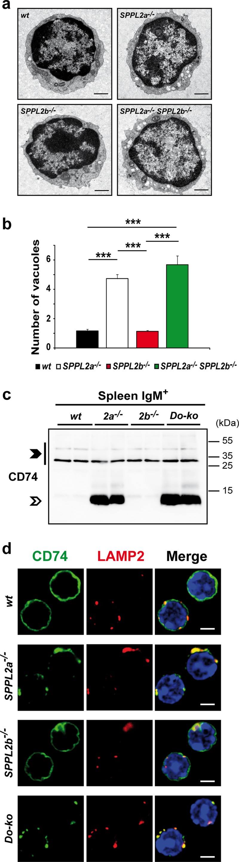 FIG 5