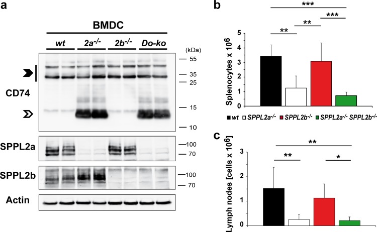 FIG 6