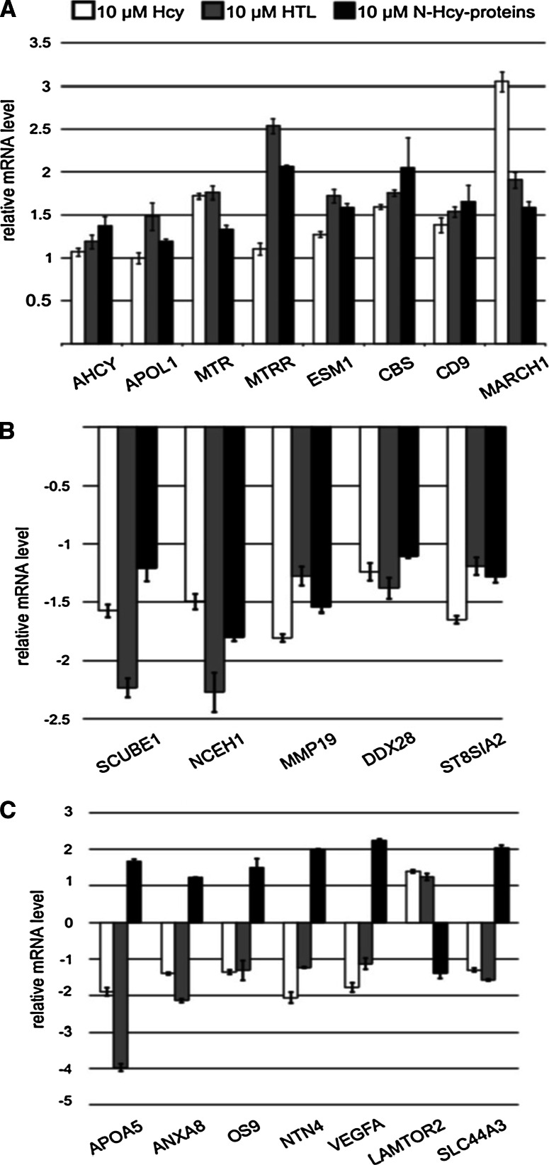 Fig. 1