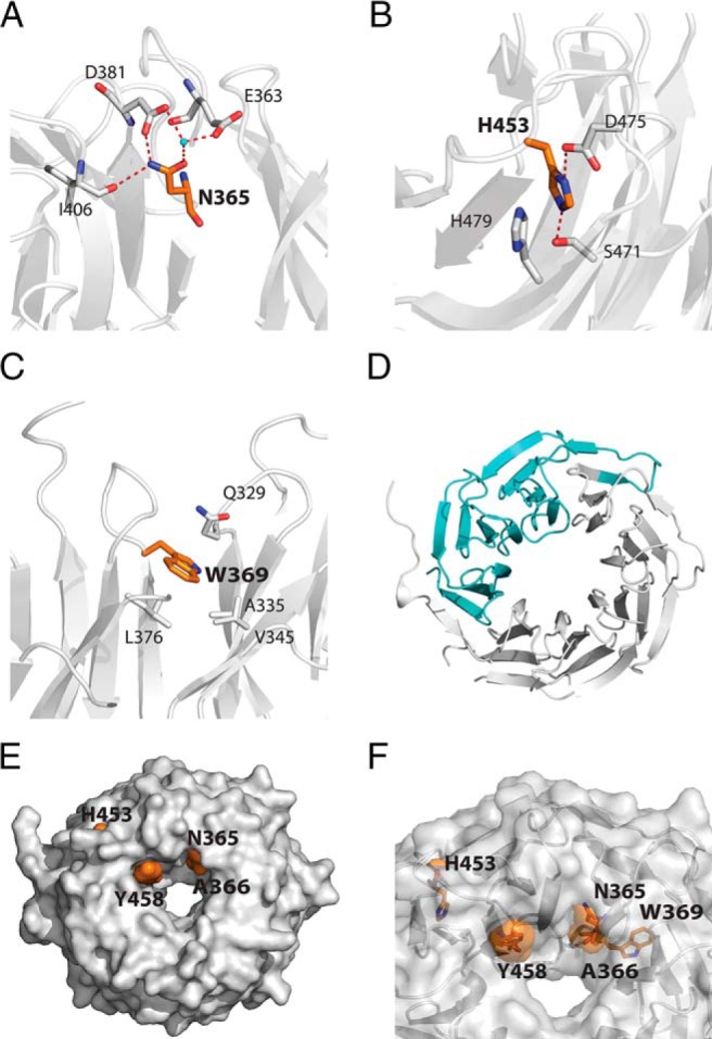 Figure 2.