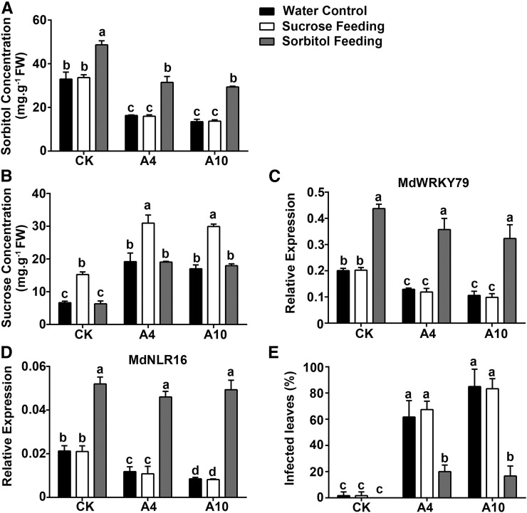 Figure 10.