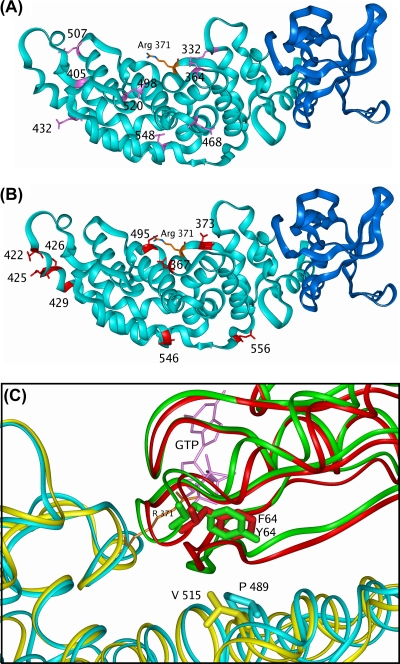 FIG. 6.