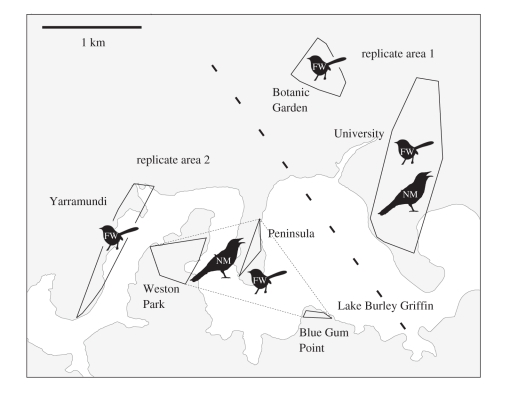 Figure 2.