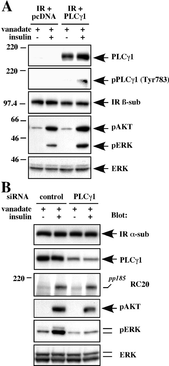 Figure 9.