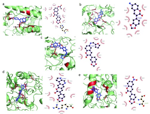 Figure 6a–e. 