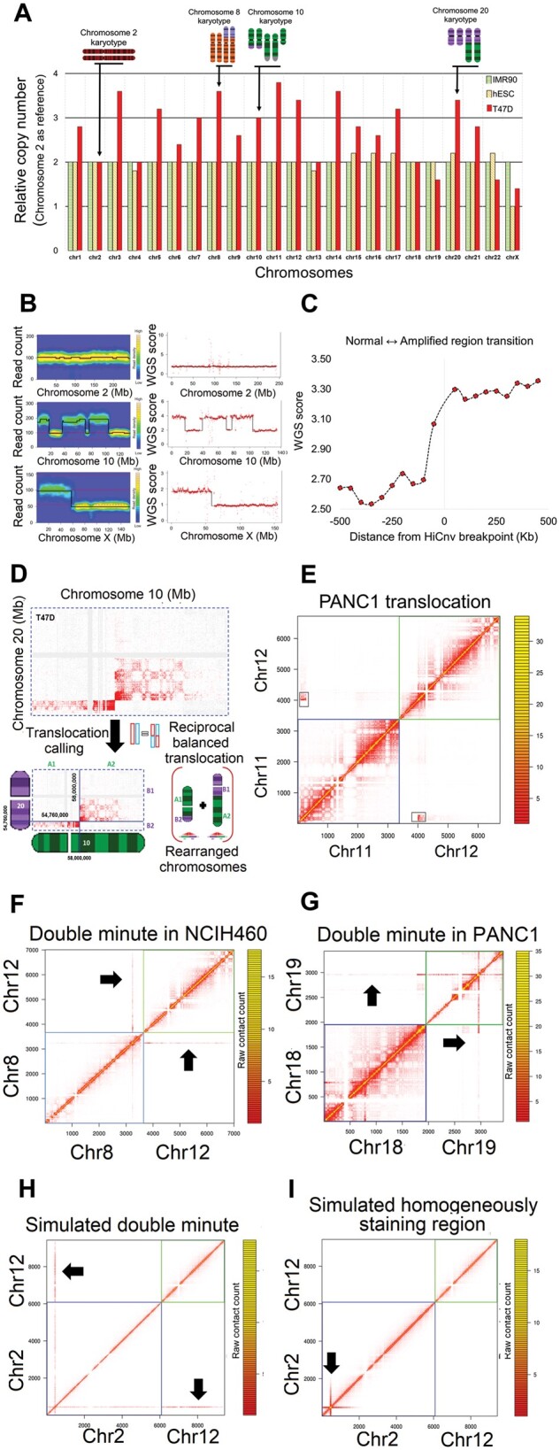 Fig. 4.