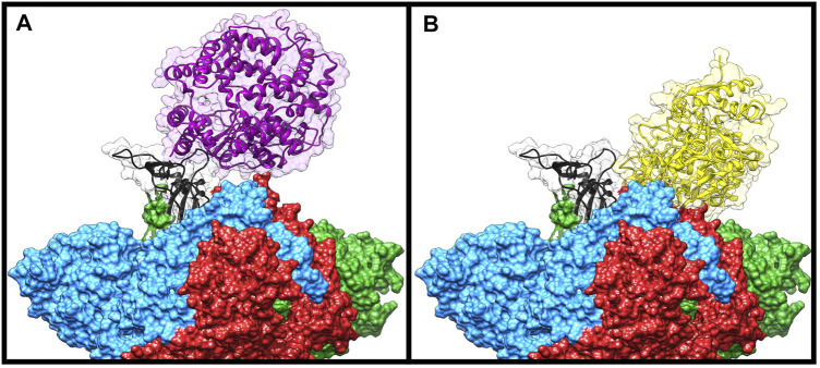 FIGURE 4