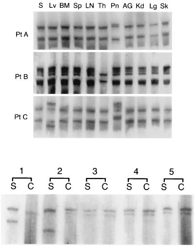 FIG. 1