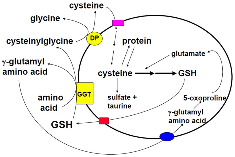 Fig. 3