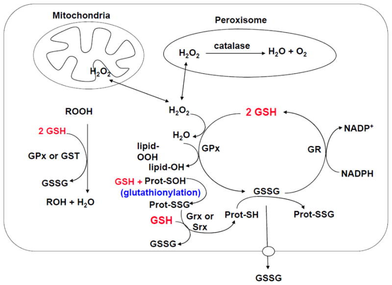 Fig. 2