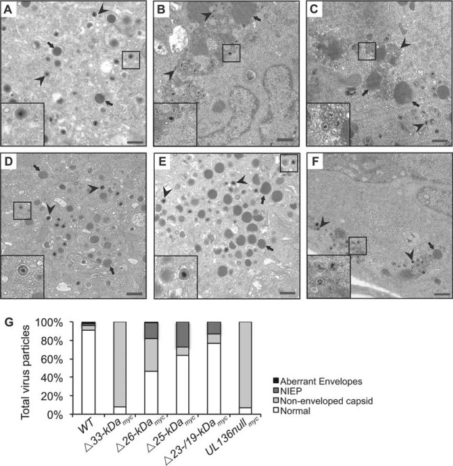 FIG 4 