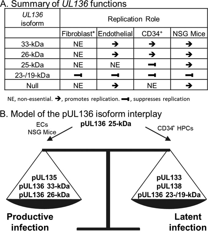 FIG 8 